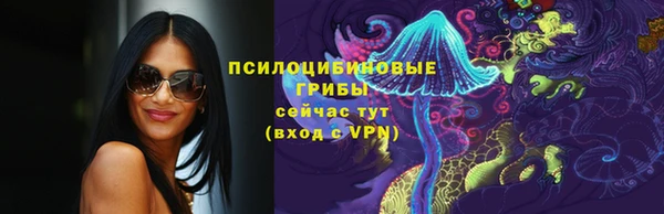 ПСИЛОЦИБИНОВЫЕ ГРИБЫ Верхний Тагил