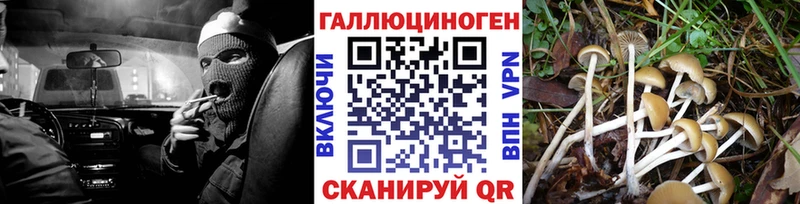 Псилоцибиновые грибы ЛСД  кракен   Сертолово 