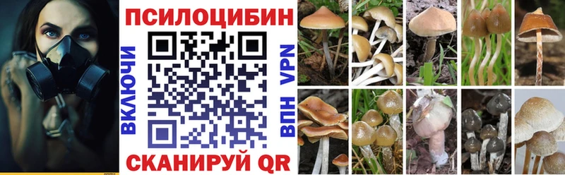 Псилоцибиновые грибы ЛСД Сертолово
